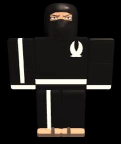 Ninja preview
