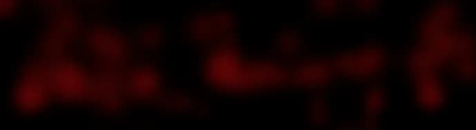 Bloody preview